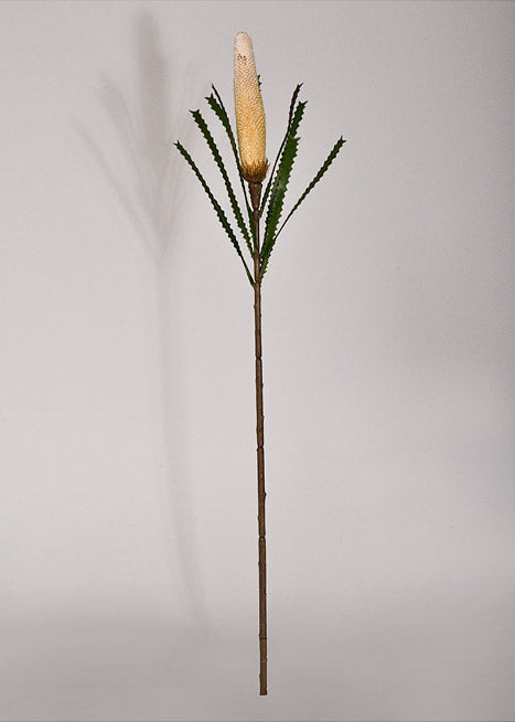 29" Artificial Banksia Spray Cream