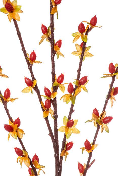 25" Bittersweet Yellow/red