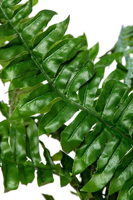 62" Large Boston Fern Green