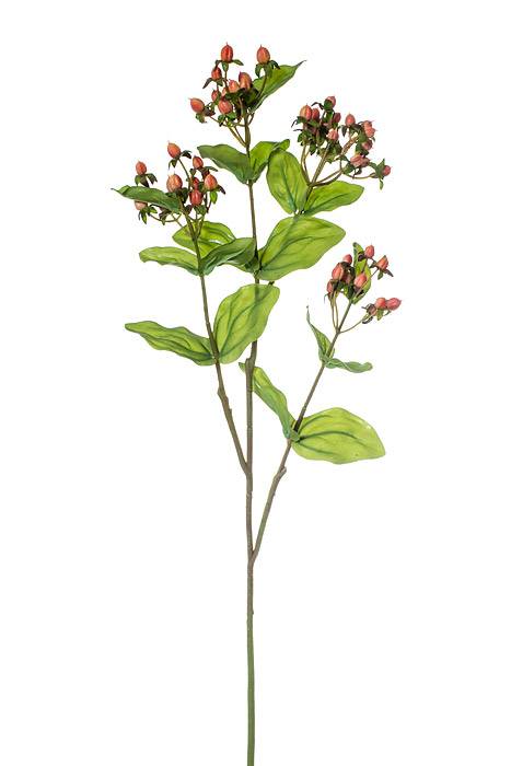 32" Hypericum Spray Orange