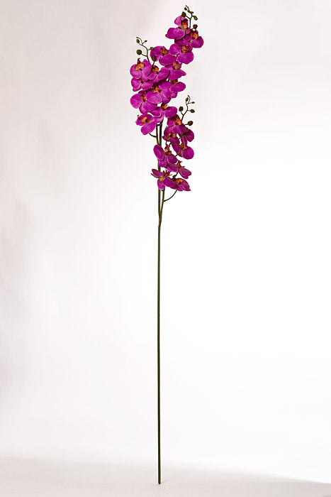 66" Silk Phalaenopsis Fuchsia