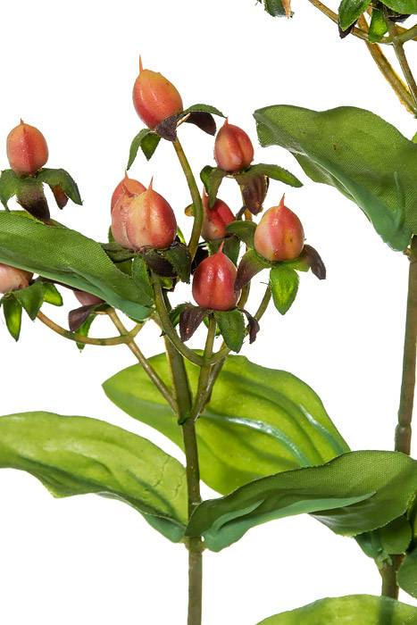 32" Hypericum Spray Orange