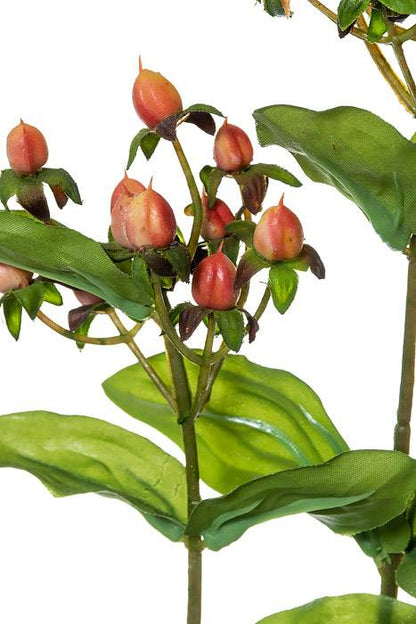 32" Hypericum Spray Orange