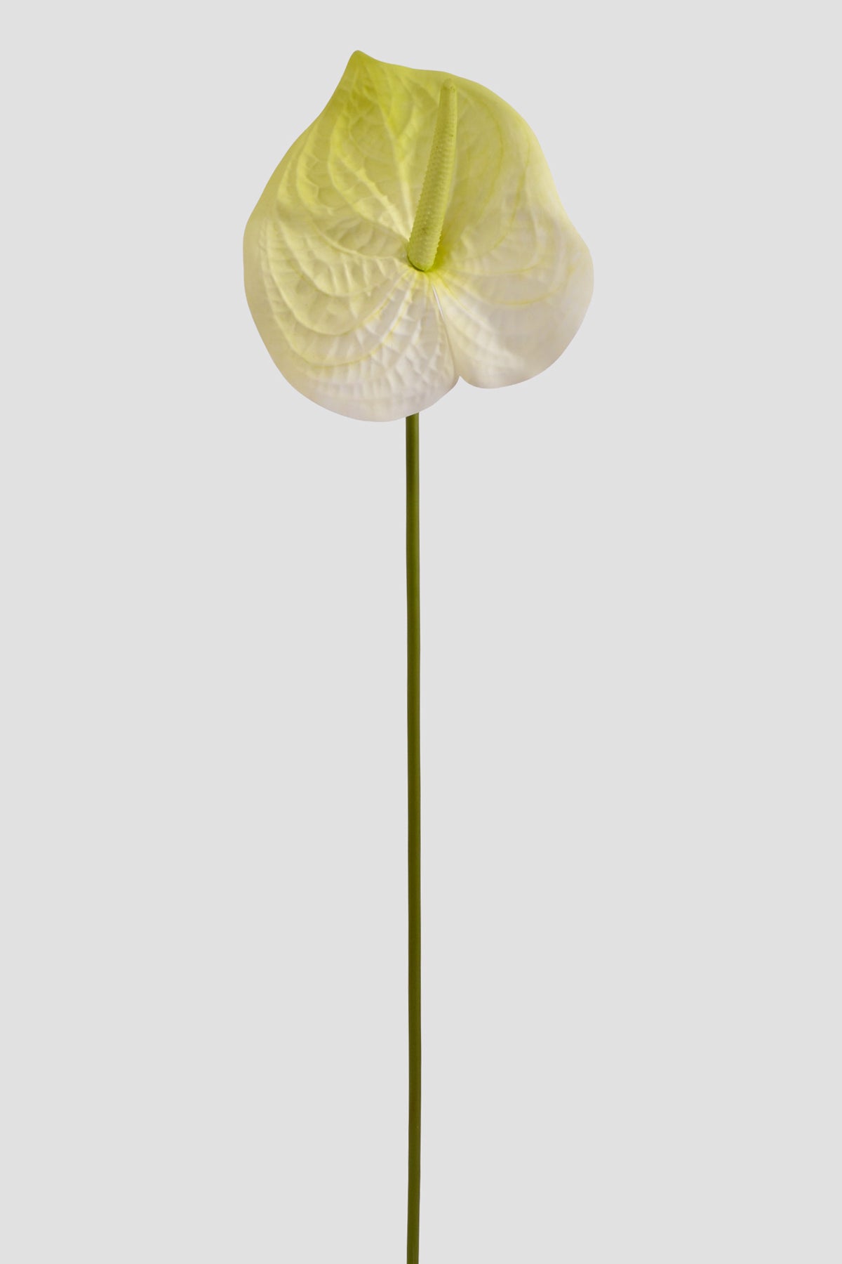 31.5" Artificial Anthurium Spray White/Green