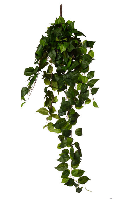 47.25&quot; Pothos Hanging Bush Green