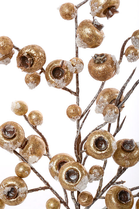 15" Frosted Iced Crabapple Spray Champagne