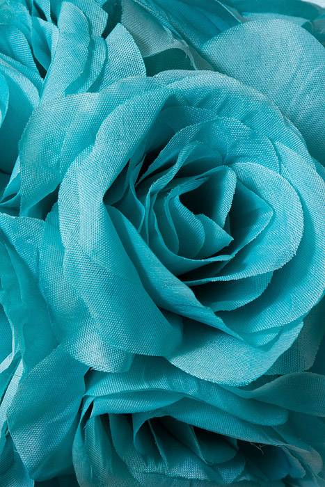 6" Rose Ball W/ribbon Aqua