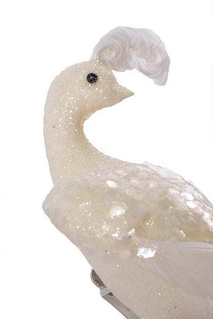 11" Feathers Peacock/Glitter Boby White