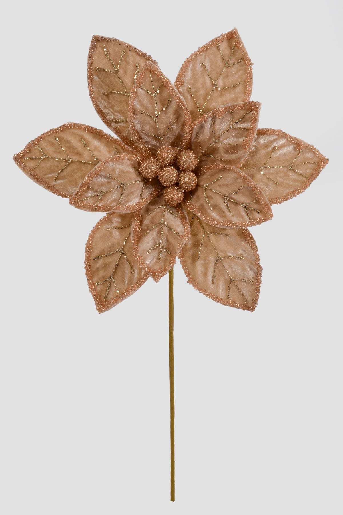 20" Poinsettia Stem Champagne