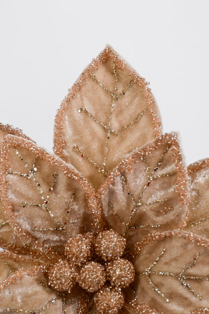 20" Poinsettia Stem Champagne