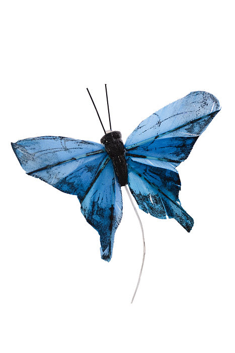 3" Morpho Butterfly Blue Pkg/12