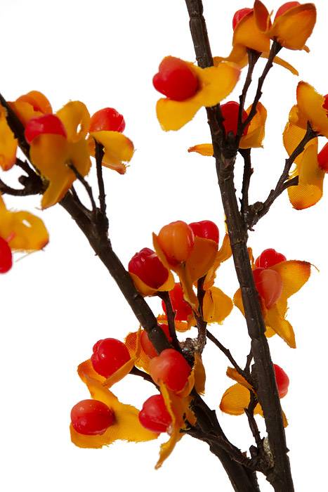 38" Bittersweet Spray Yellow/orange