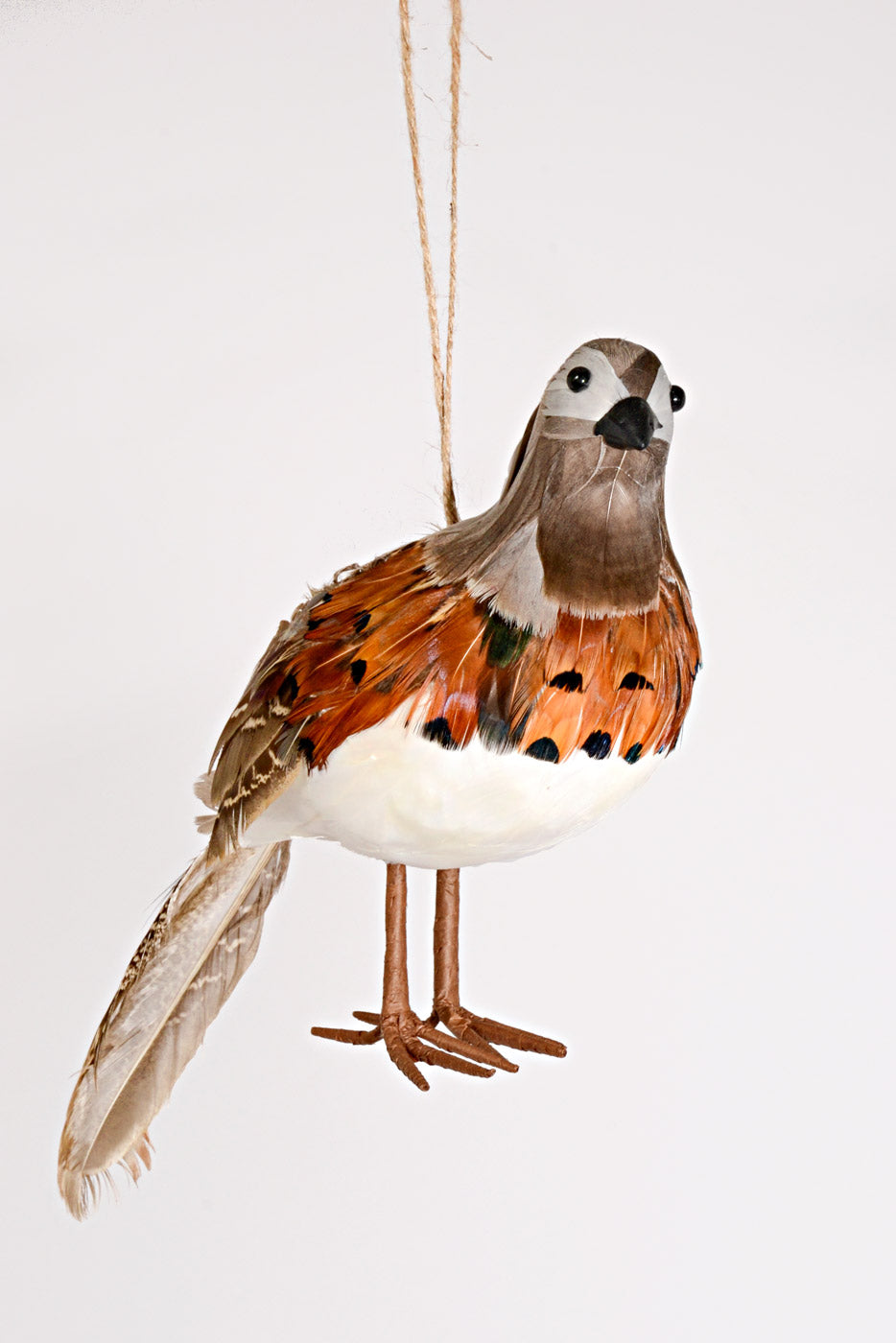11.5" Feather Highlands Quail Ornament Natural Brown