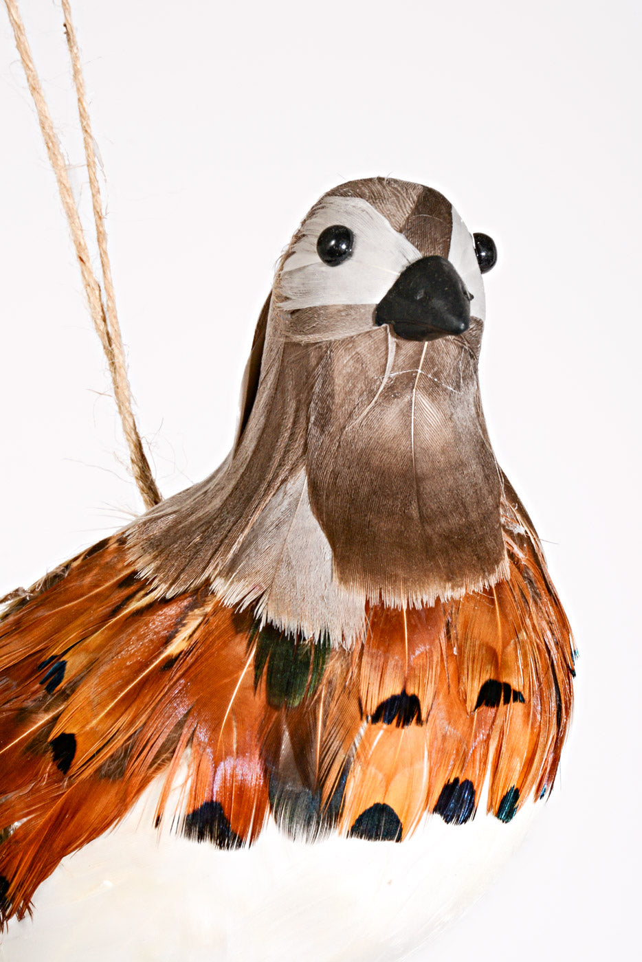 11.5" Feather Highlands Quail Ornament Natural Brown