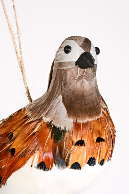 11.5" Feather Highlands Quail Ornament Natural Brown