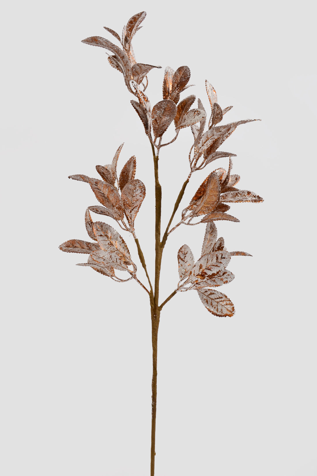 26" Frosted Ruscus Spray Copper