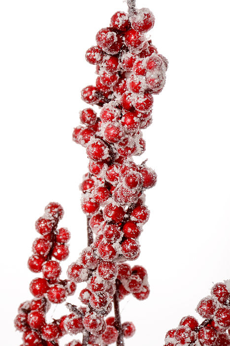 24" Berry with Snow Bush Red