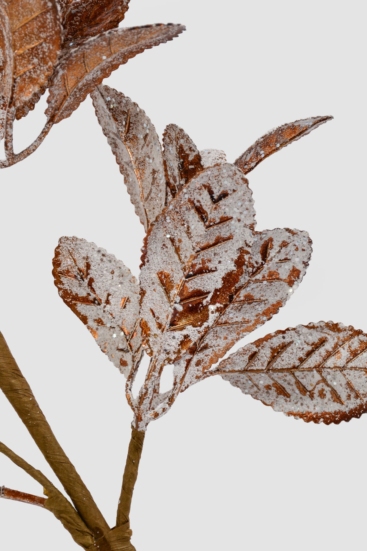 26" Frosted Ruscus Spray Copper