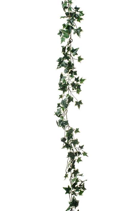 6ft English Ivy Garland Green/white