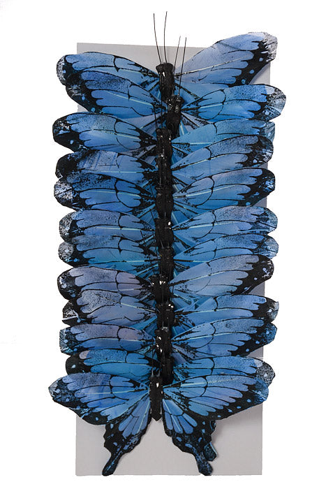 5" Morpho Butterfly Blue Pkg/12