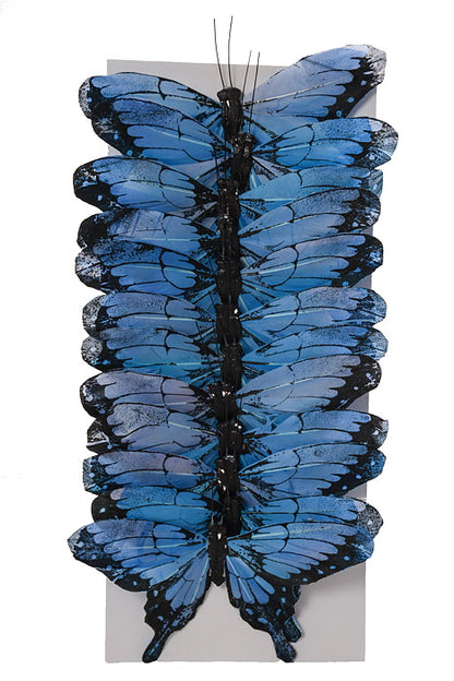 5" Morpho Butterfly Blue Pkg/12