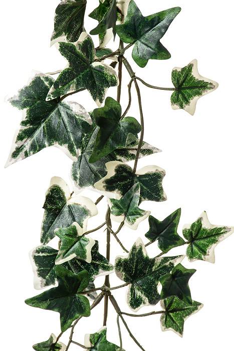 6ft English Ivy Garland Green/white