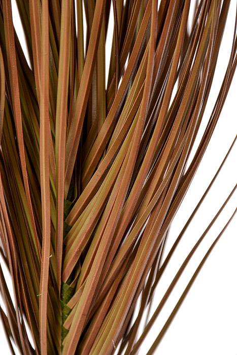 28" Onion Grass Spray Brown/Burgundy