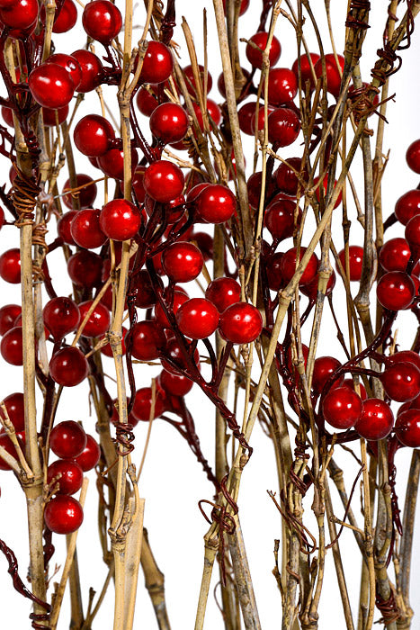 5.1" x 24" Natural Berry Stand Red