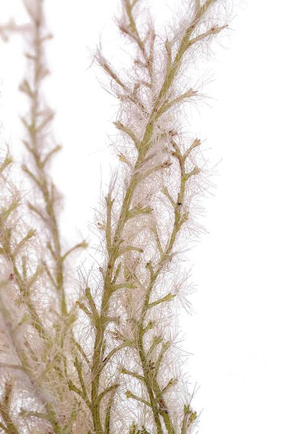 18" Reed Grass Spray Beige/Mauve