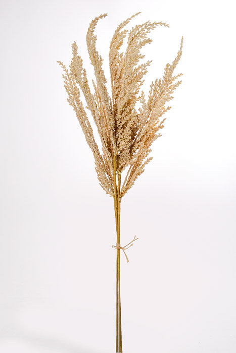 28" Pampas Bundle Beige