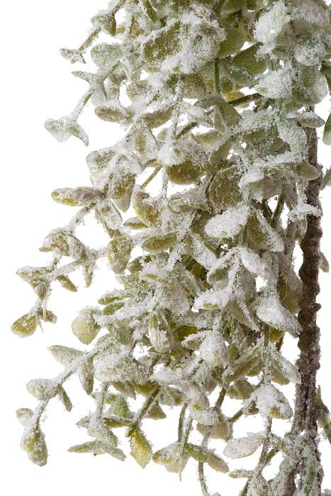 52" Frosted Forest Boxwood Garland Natural Frosted