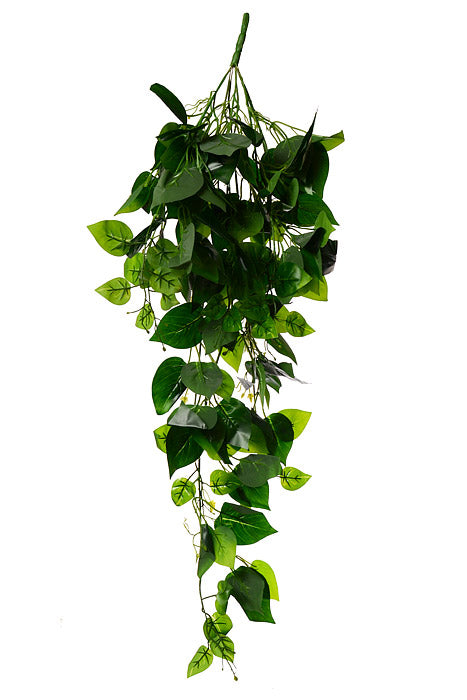 41&quot; Philo Leaf Hanging Bush Green