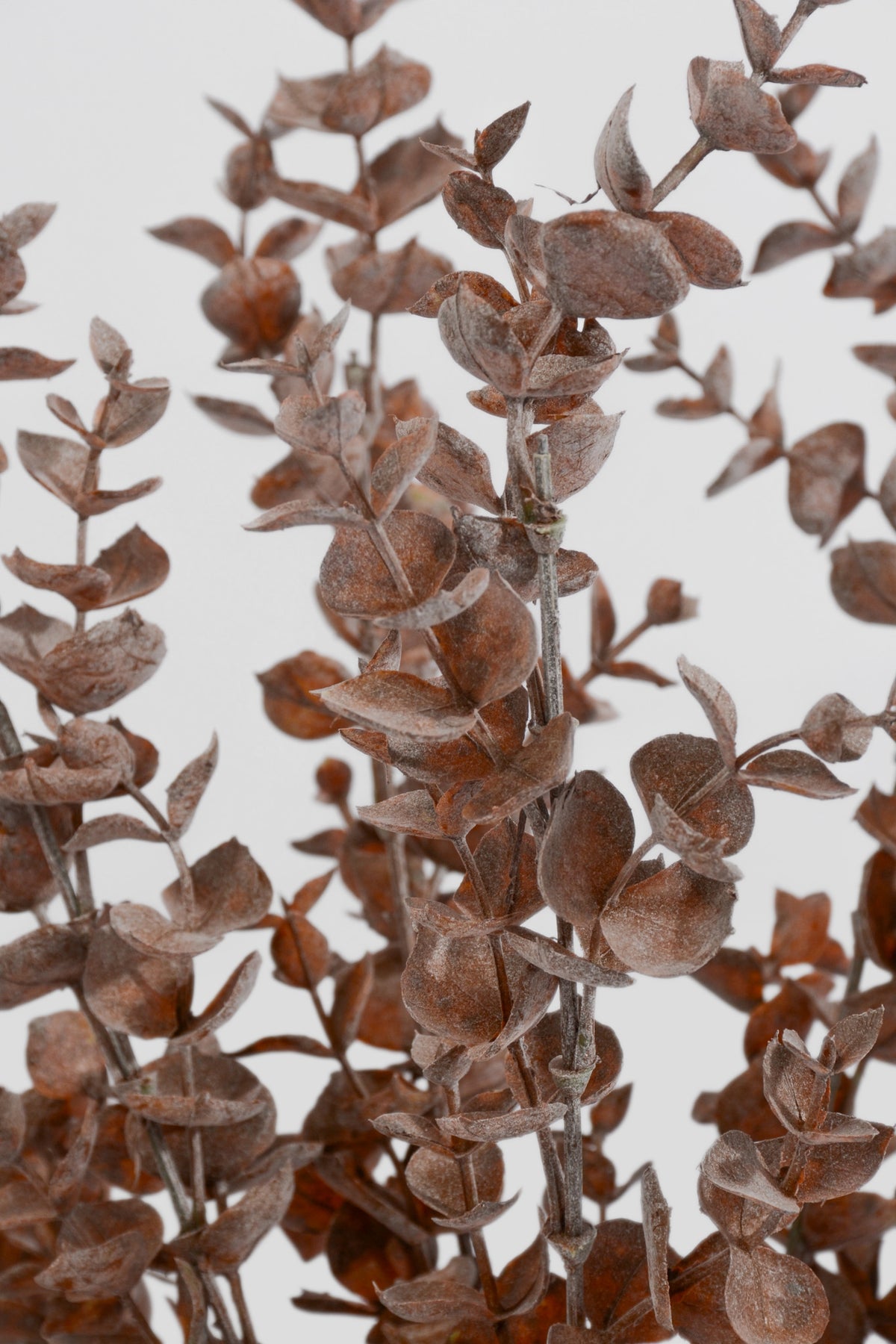 20" Artificial Eucalyptus Bush Brown