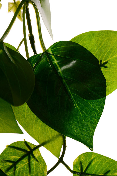 41&quot; Philo Leaf Hanging Bush Green