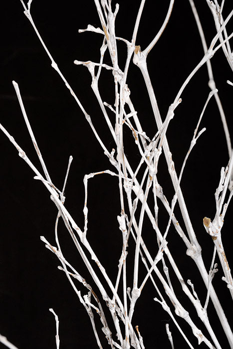 6.5" x 51" Birch Stand White