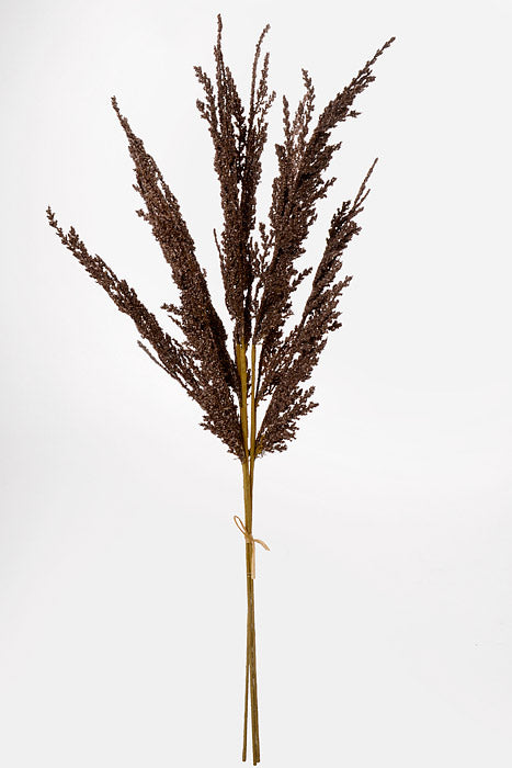 28" Pampas Bundle Coffee