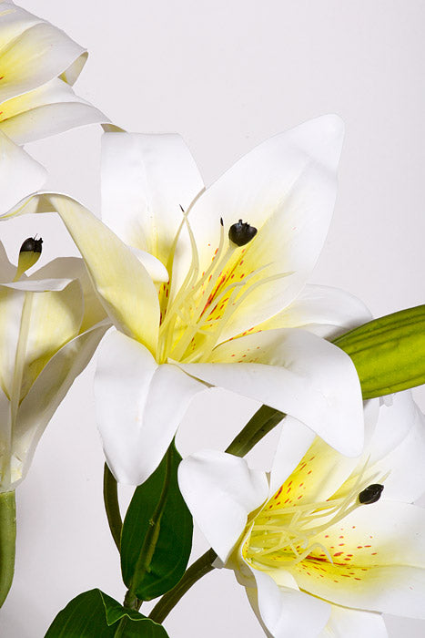 21.5" Silk Lily Bush White