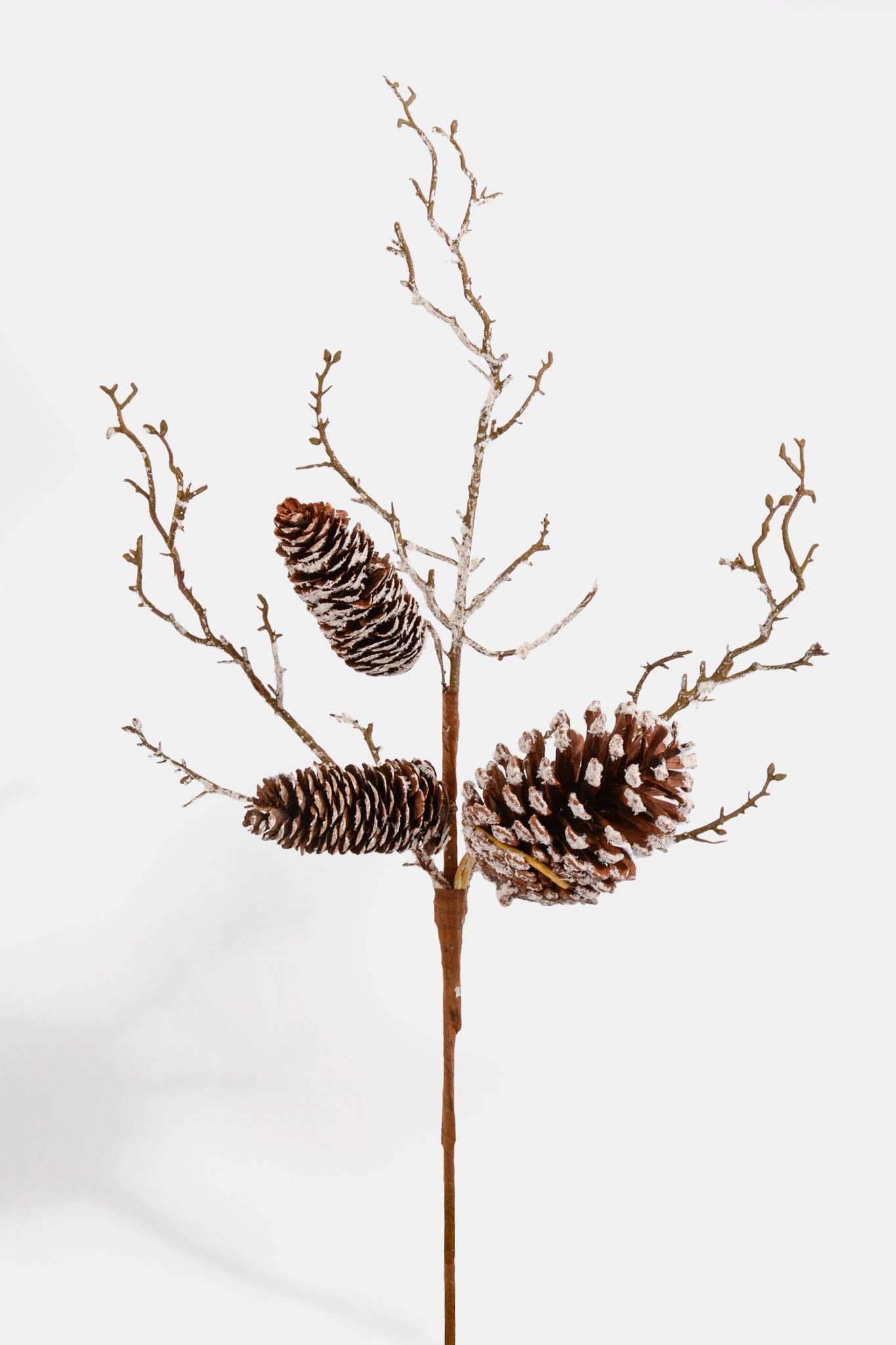 18" Snowed Pine Cone Spray Brown
