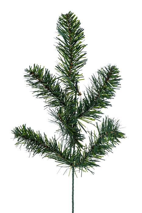 15" Northern Spruce Spray Pkg/12
