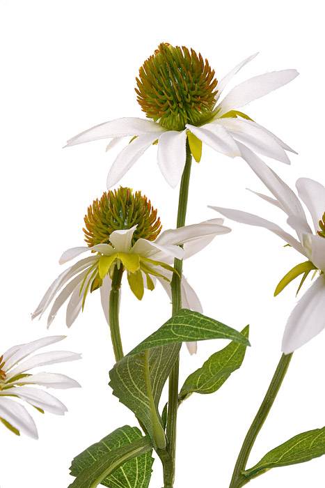 29&quot; Silk Echinacea Spray White/Green