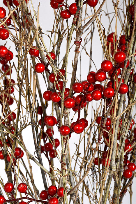 6.5" x 51" Natural Berry Stand Red