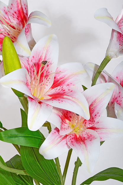 21.5" Silk Lily Bush Rubrum