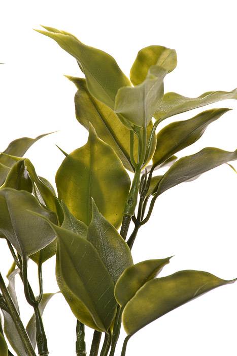 11" Plastic Pomelo Leaf Spray Green