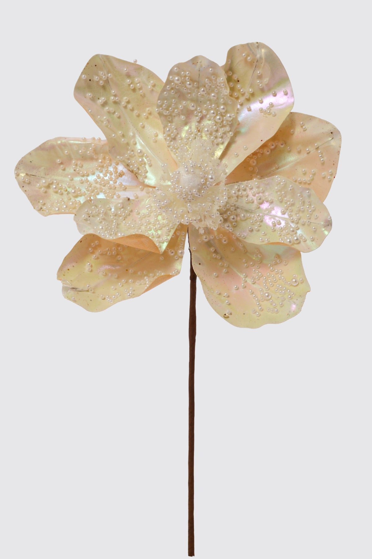 18" Magnolia Stem W/Pearl Cream