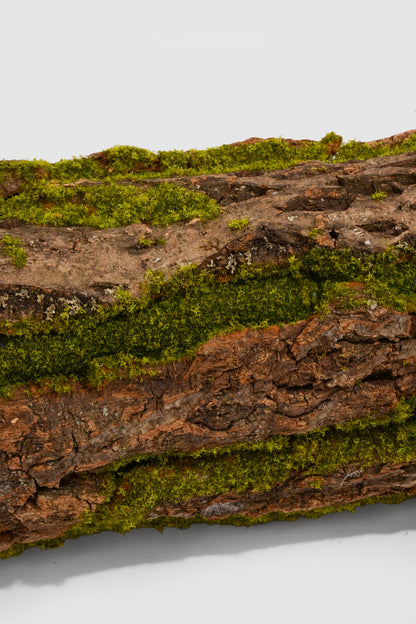 33" Bark Rack W/Moss Green