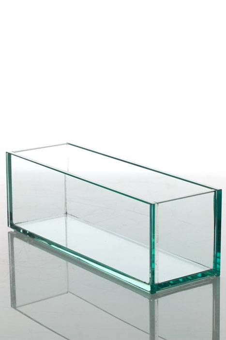 11.75" X 3.75" X 4" Glass Plate Bowl Clear