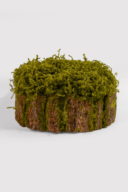 12" X 6.5" Bark Rack W/Moss Green