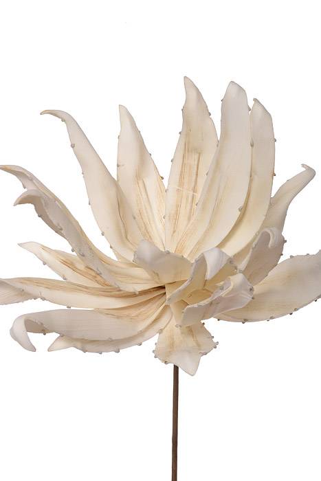 41" Yucca Stem Cream