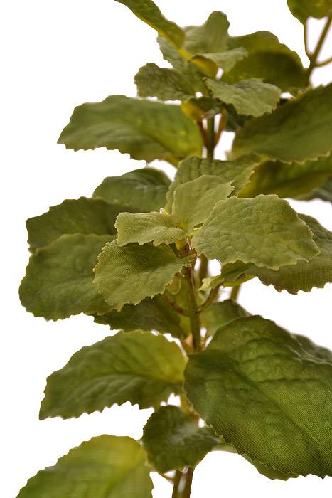 10&quot; Silk Mint Bush Green