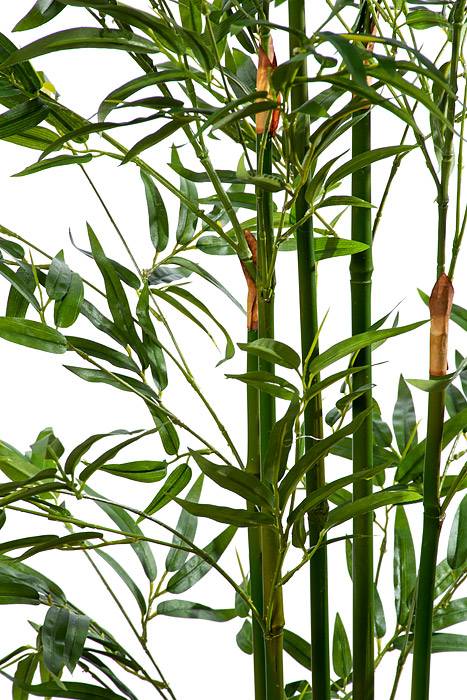 5ft Mini Bamboo Tree In Pot Green